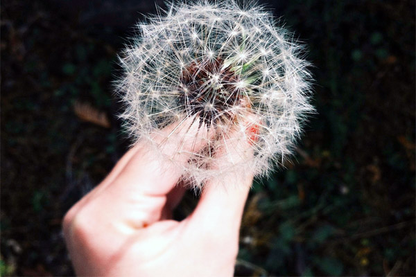 网页攻击软件